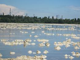 Il Po invaso dalla 'schiuma', sale il livello del fiume
