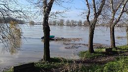 La piena del Po del novembre 2016: le foto dei lettori