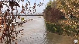 VIDEO Piena del Po: resta altissimo l'allarme nelle società canottieri