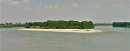 Sul Po due isole in vendita