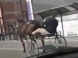 Coronavirus: fanno corsa clandestina di cavalli, 4 denunciati