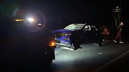 Tre asini scappano dall’allevamento e provocano un incidente stradale
