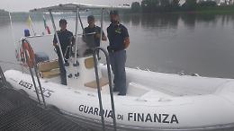 Emergenza bracconaggio in Lombardia, domani l'incontro del WWF  al Pirellone