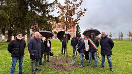 Due piante per celebrare una vita di impegno e dedizione