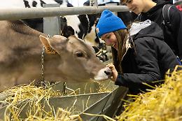 La filiera del latte conquista il centro con un evento diffuso senza precedenti