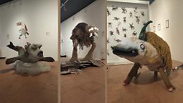 Uno zoo fantastico come un sogno di Bosch