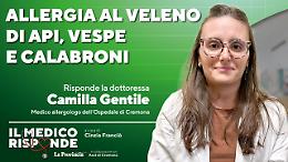 Imenotteri, allergia al veleno: quando il rischio &egrave; reale