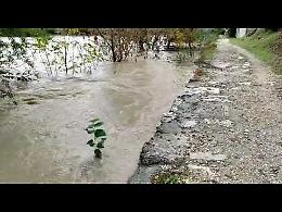 VIDEO Fiume Serio, torna la preoccupazione