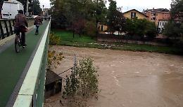 Adda e Serio gonfi di pioggia
Allerta di Comuni e protezione civile