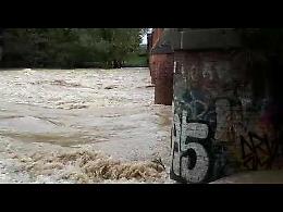VIDEO Il fiume Serio, verso la palata, zona Zanzibar