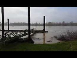 Il video della piena del Po nei pressi dell'attracco di Cremona