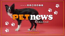 PetNews Magazine - 27/10/2025