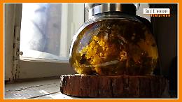 Sorsi di Benessere - Una tisana della sera