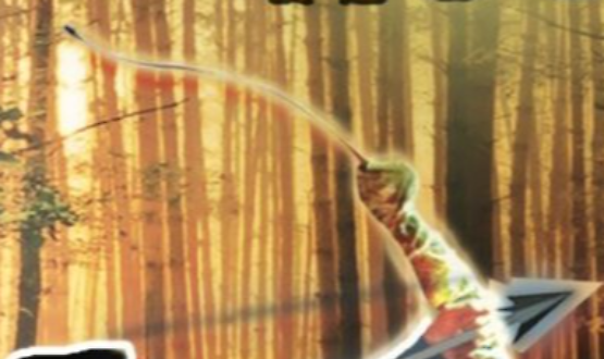 Robin Hood - Family Show