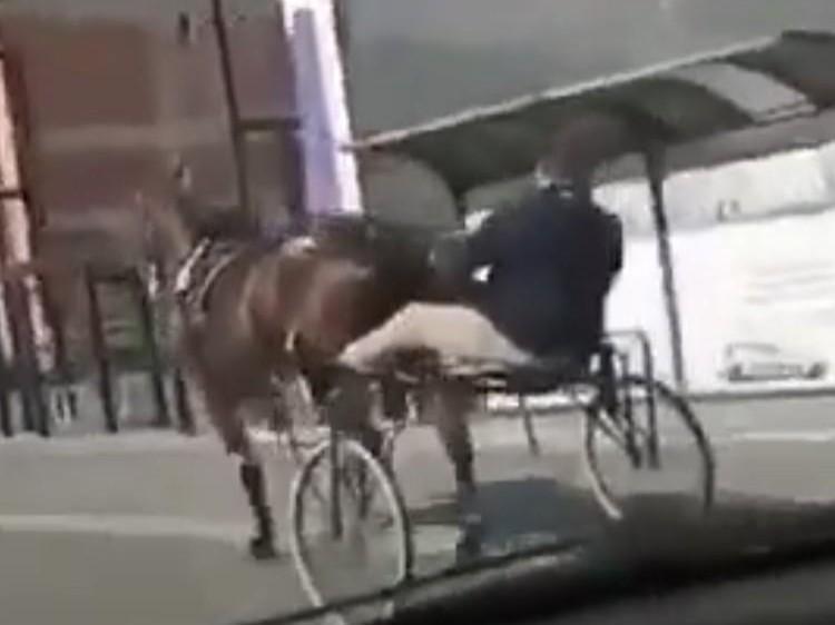 Coronavirus: fanno corsa clandestina di cavalli, 4 denunciati