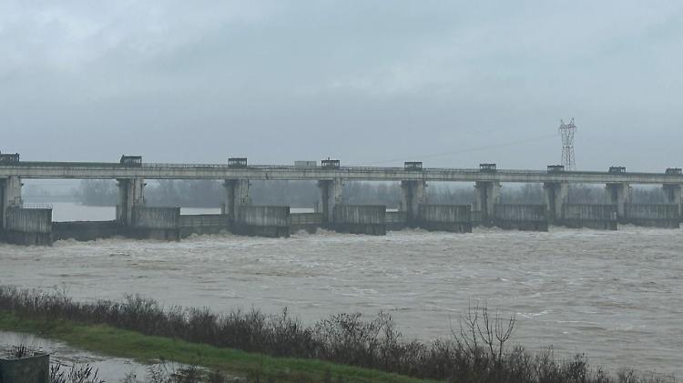 Il Po torna a salire nel Piacentino, e ricompaiono i tronchi a San Nazzaro