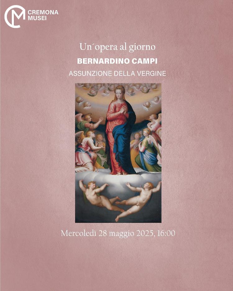 Scopriamo l'Assunzione della Vergine di Bernardino Campi