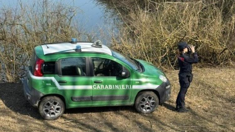 Operazione dei carabinieri forestali, due denunce