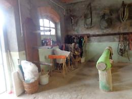 Furto di selle in cascina
