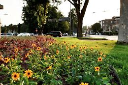 Piccole citt&agrave; verdi
Cremona al 13esimo posto