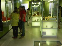Successo per la 'notte al museo'
