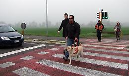 Un semaforo 'in dono' per Davide