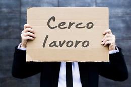Lavoro e concorsi, tutte le opportunità a Cremona e provincia