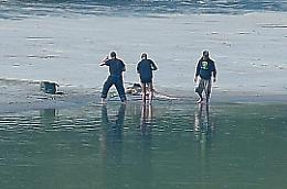 Sos bracconaggio, gli 'Amici della Golena' si potenziano