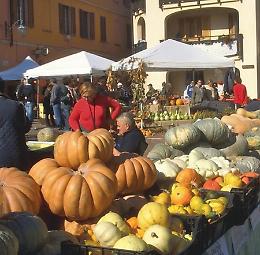 Festa Della Zucca - Edizione 2017