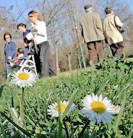 Venerd&igrave; 14 raggiunti i 23,5 gradi