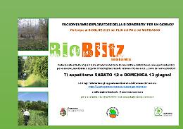 Bioblitz, alla scoperta delle bellezze naturali del PLIS del Po e del Morbasco