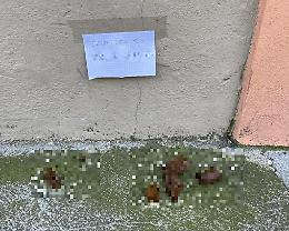 Stufo delle deiezioni sul marciapiede, appende cartello col nome del proprietario