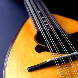 Concerto di beneficenza con
I mandolinisti di Parma