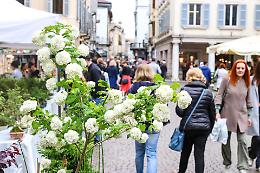 "Fiori e sapori": colori e profumi che ammaliano, un mix riuscito