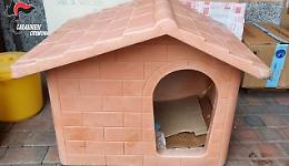 Ruba una cuccia per cani, 21enne denunciato per furto aggravato