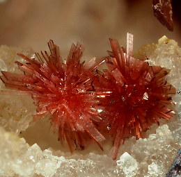 I fiori delle rocce: minerali al microscopio