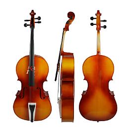 I violoncelli del Mozarteum