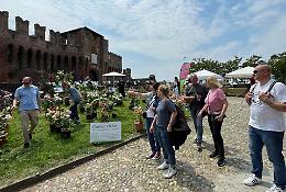 Il Borgo Fiorito conquista la città medievale