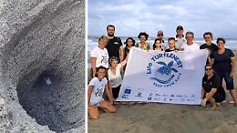 Un nido di tartaruga sulla spiaggia della colonia di Casalmaggiore