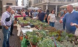 Fiori e sapori, gli stand dell’autunno sbocciano tra la folla