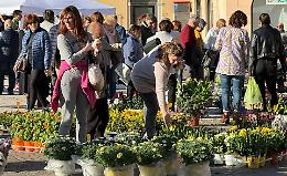 Con il 'Listone in fiore' la primavera è sbocciata