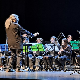 Concerto di Natale a favore della Fondazione Alba Anffass