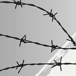 Giornata della Memoria: iniziative celebrative
