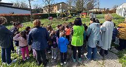Asilo e nido: piantati gli alberi