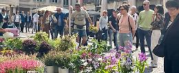 Fiori e sapori: il primo weekend di ottobre il centro si colora