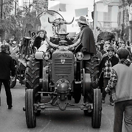Il San Martino di Monticelli - 27ª edizione