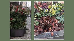 Rubati i fiori, l&rsquo;ira del sindaco