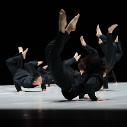 Tao Dance Theatre: Numerical Series 16 - 17