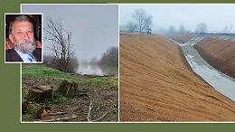 &lsquo;Strage&rsquo; di boschi: &laquo;Altro che rinaturazione&raquo;