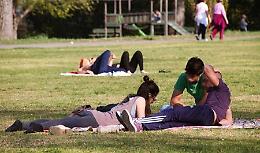 Quei vip che al parco al Po lasciano liberi i loro cani